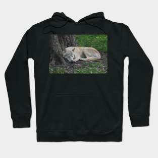 Wolf Hoodie